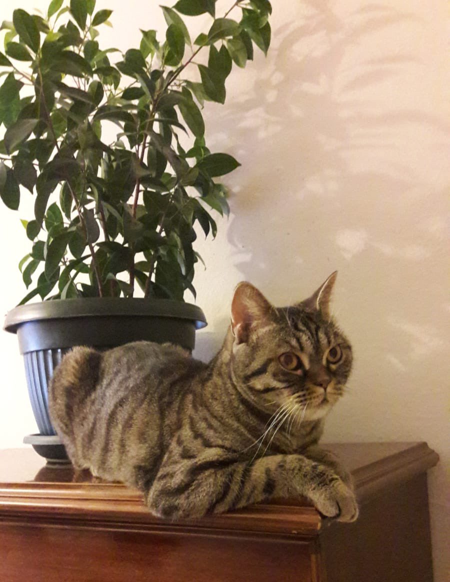 Nerden nereye, güçlü prensesimize hala yuva çıkmadı