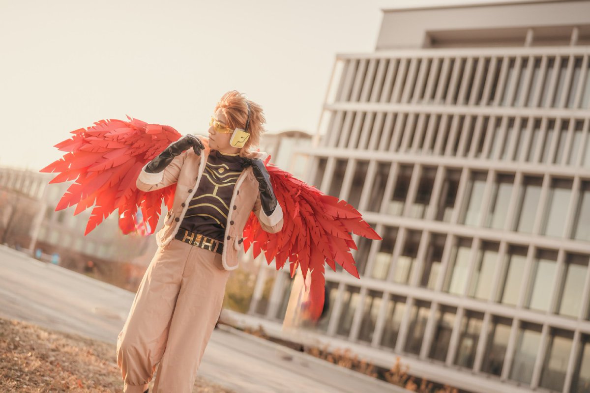 ここ様専用 ホークス ヒロアカ コスプレ 新品 - www.labheart.org