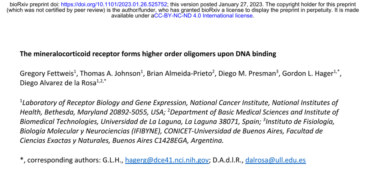 Back in 2016, we reported DNA-dependent tetramerization of the glucocorticoid receptor. Its most closely related 'sibling', the mineralocorticoid receptor, appears to be even weirder! Check out this pre-print led by @ProfDalrosa and Gordon Hager
biorxiv.org/content/10.110…