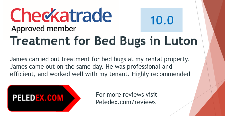 We have a new 10/10 review on Checkatrade for a BedBug Treatment in Luton checkatrade.com/trades/Peledex…