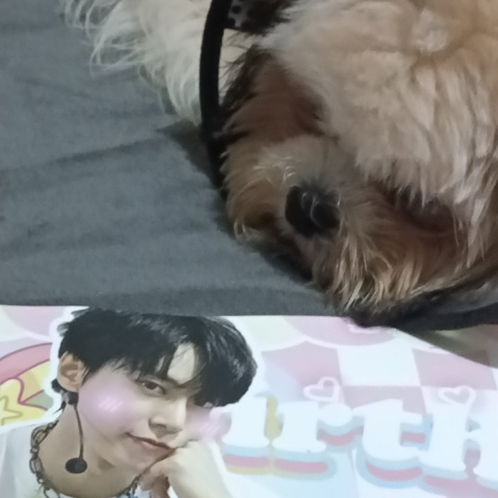 thank you @bicol_zennie and miss <a href="/nanadoie/">zhar</a> so much🥹🫶 at parang ayaw na talaga po ni conan umalis 🫠 naiintindihan kita 😔🫵 #OURGOLDDUSTDOYOUNG
