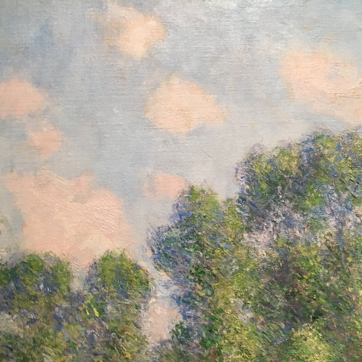AcademiaAesthe1's tweet image. Claude Monet's different painting details