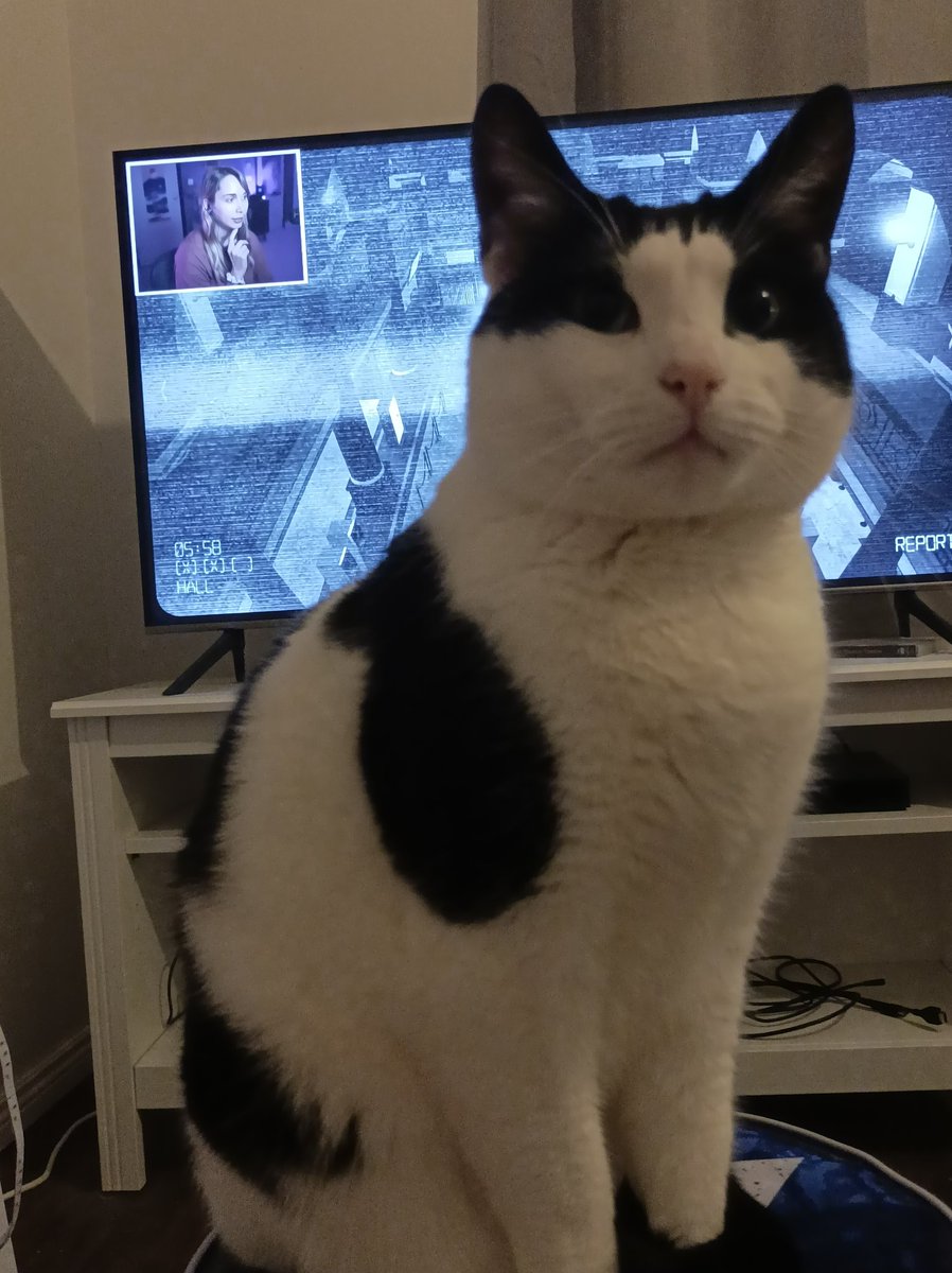 Me trying to watch some <a href="/GabSmolders/">Gab Smolders</a> playing Observation Duty but I think someone want to me give him all the attention 😅❤️ #CatsOfTwitter #Caturday #gabsmolders