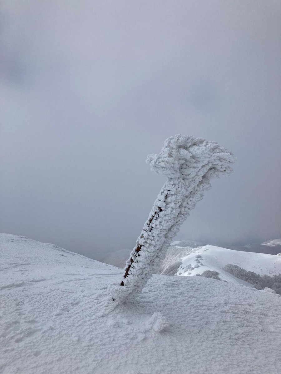 Pratomagno1's tweet photo. E si amarono l’un l’altro, sospesi su un filo di neve ❄️
And they loved each other, suspended on a thread of snow 😍
@Pratomagno1 nelle spettacolari immagini from #Instagram
By @paolorubetti https://t.co/c0tACGJnNX