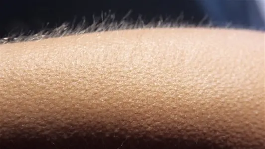 MhaActuFR's tweet photo. La fin de l'épisode https://t.co/LojYjkpLgy