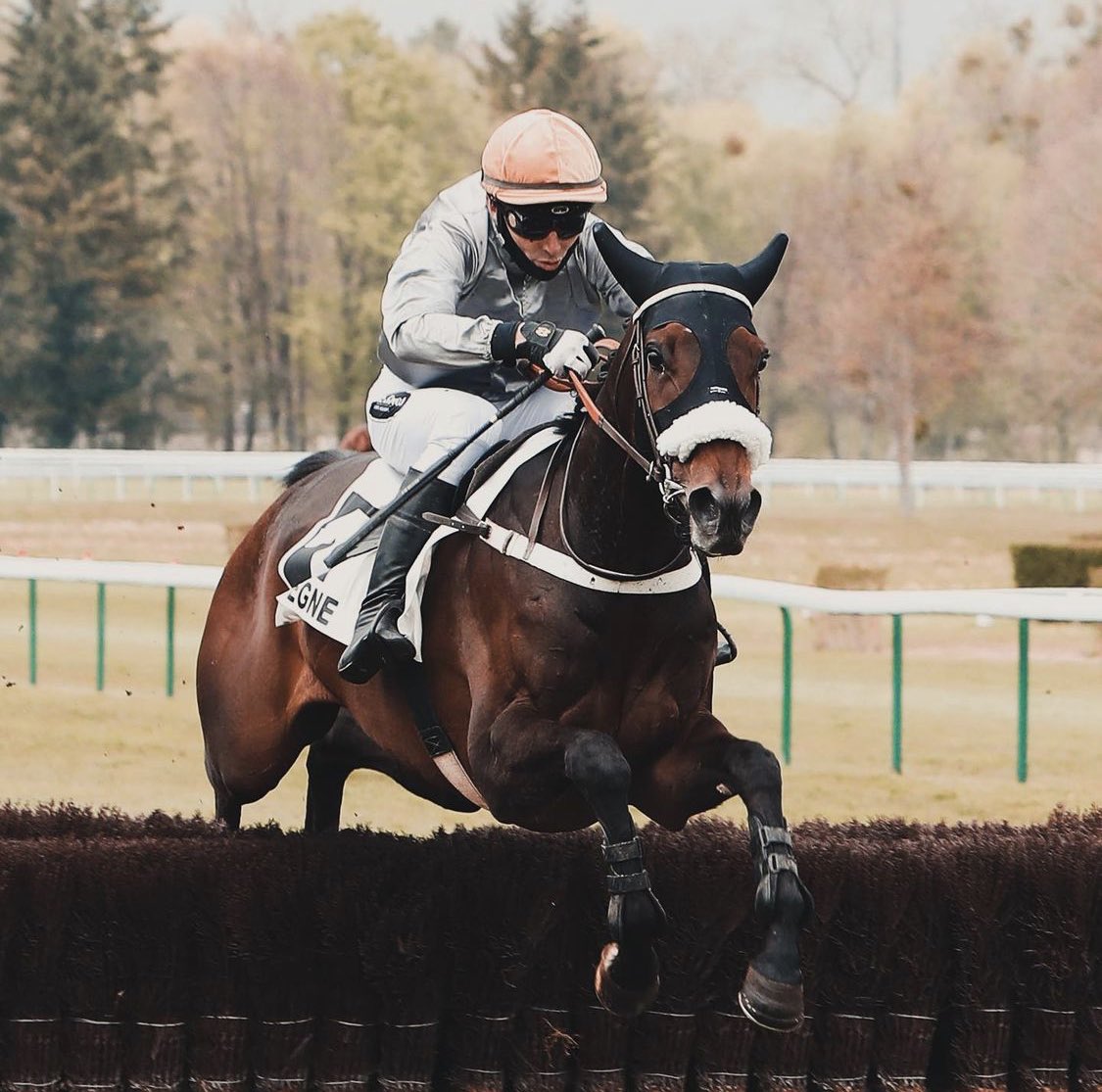 Go GOLDTWEET 
Go Johnny 
Go <a href="/GabrielLeenders/">Gabriel Leenders</a> 
Merci de nous faire vivre ces moments là 😍
<a href="/CheltenhamRaces/">CheltenhamRacecourse</a>