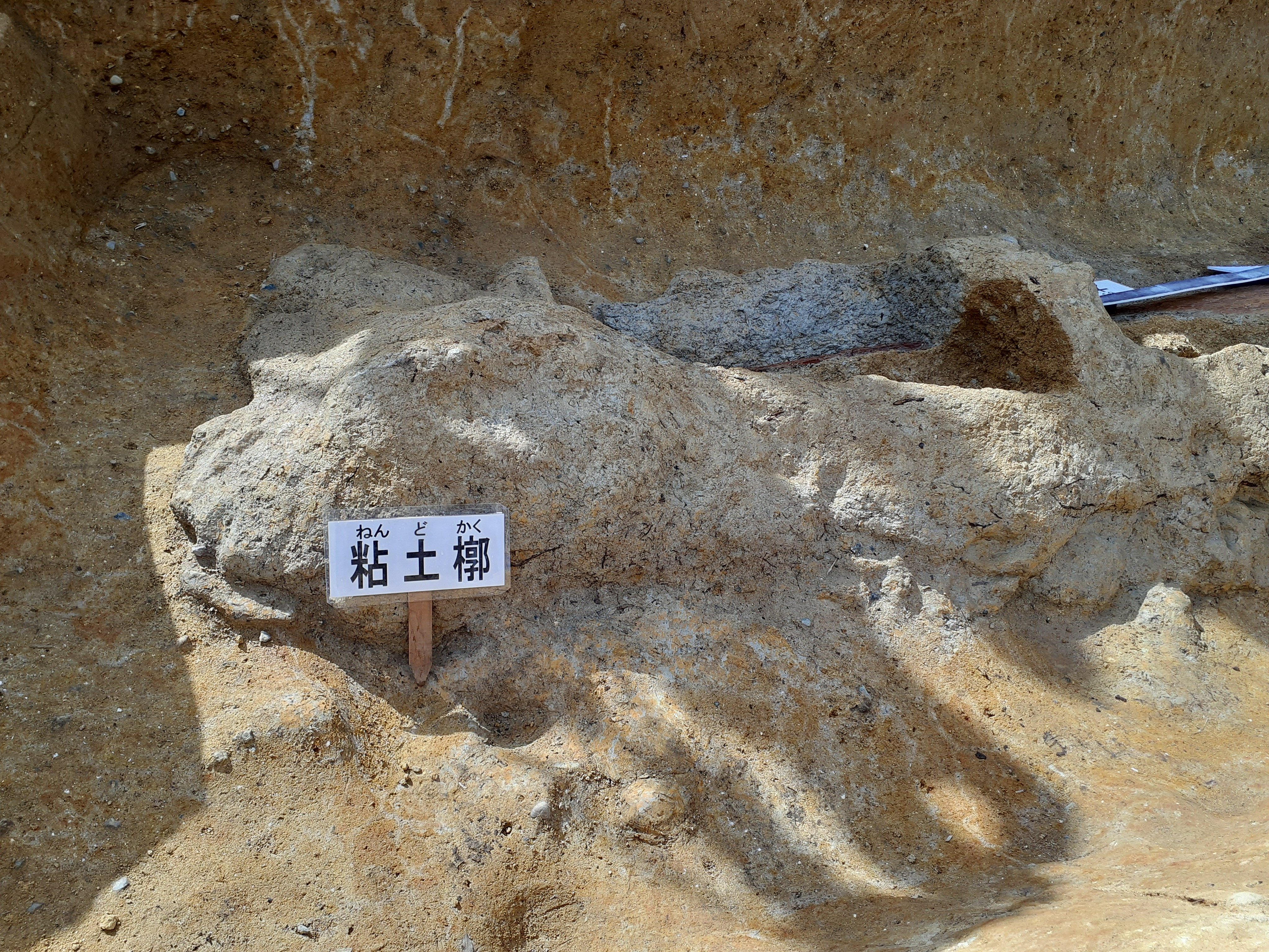 徳利 詳細不明 1871 日本 明治4年 10円金貨 未使用 無輪 NGC MS63 未使用品 旧