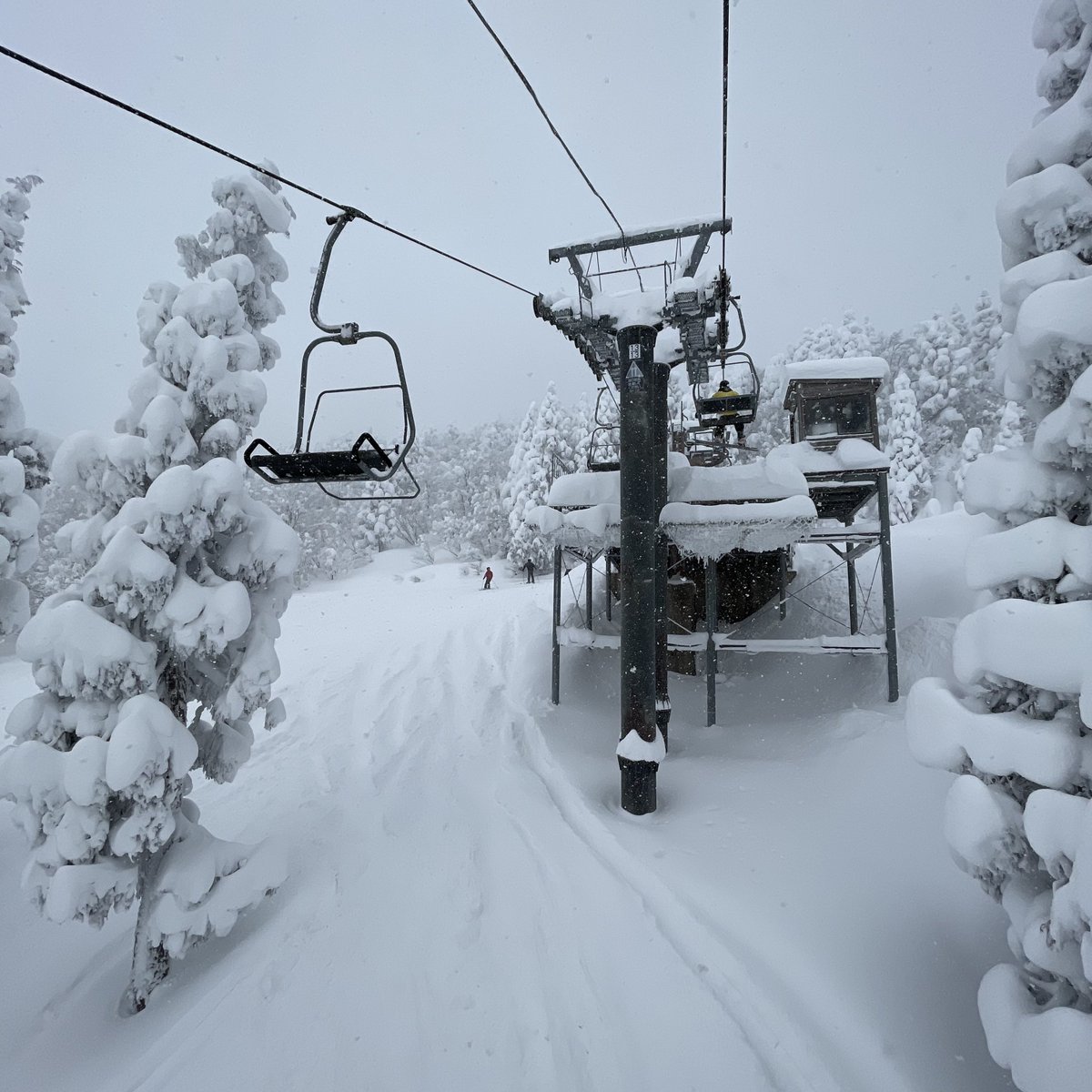 no13utaka's tweet photo. 2023-01-28
モッサモサの恐羅漢
ご馳走様でした
#恐羅漢
#氷柱
#snowboarding #spoonfish #gentemstick https://t.co/5CZzGYRXFp