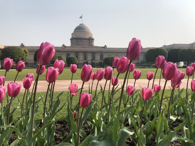 The central government  renamed the Mughal Gardens in New Delhi's Rashtrapati Bhavan to 'Amrit Udyan.'
#AmritUdyan
#AzaadiKaAmritMahotsav🇮🇳

twitter.com/i/spaces/1YpKk…