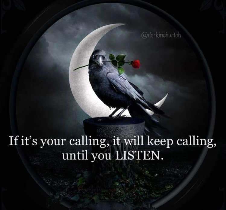 thewitchbrmclst's tweet photo. Good Morning Witches and Friends Happy  Saturday https://t.co/CPQ7JBdnCS
