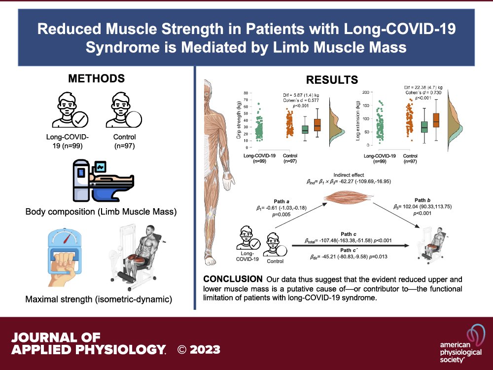 🏋️💪🏋️🏋️ Want to combat muscle weakness from #longCOVID19? Incorporate resistance training to target limb muscle mass and improve strength 
#longCOVID #fitness 

journals.physiology.org/doi/epdf/10.11…

@japplphysiol