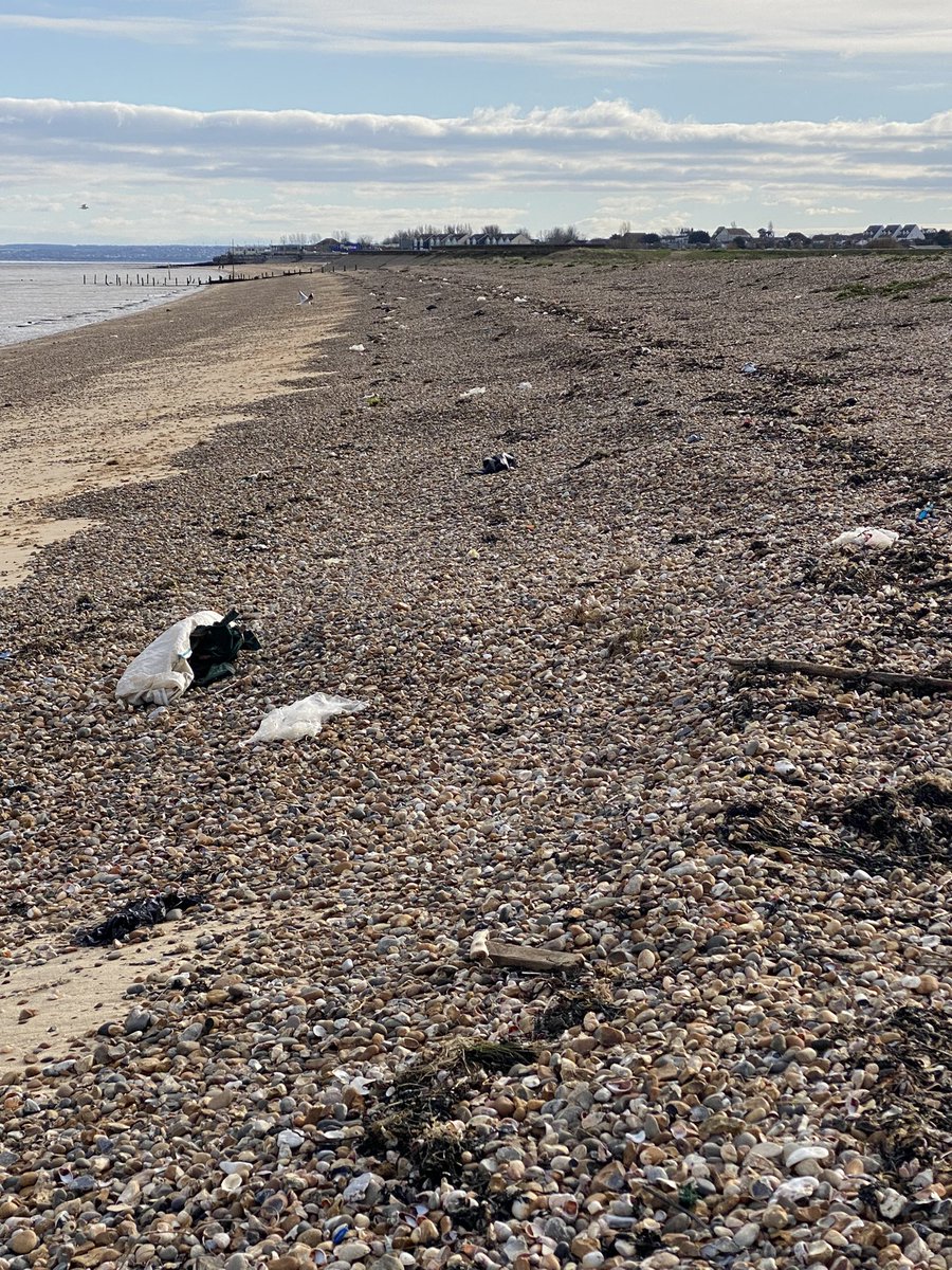 So much plastic washed up on our local beach today! It’s horrific. @warden_bay we’ve called for an impromptu beach clean this afternoon  2pm &amp; hopefully a few people will come along. #pollution  @warden_bay
