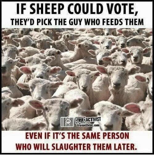 Squill_Mama's tweet photo. Let that sink in! https://t.co/aVeRe3Dat5