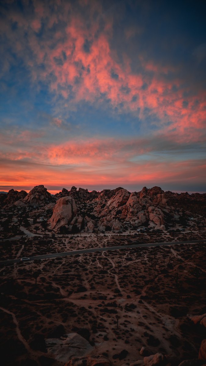 xSD | Photographer tweet media