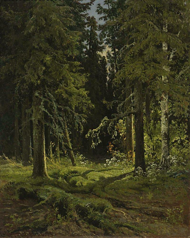 Forest Landscape, 1878 #shishkin #ivanshishkin wikiart.org/en/ivan-shishk…