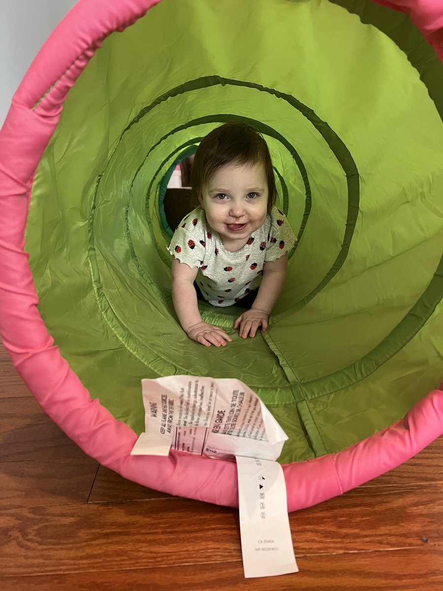 Emily C. Singer on Twitter "Happy hallie is back, albeit with a ton of