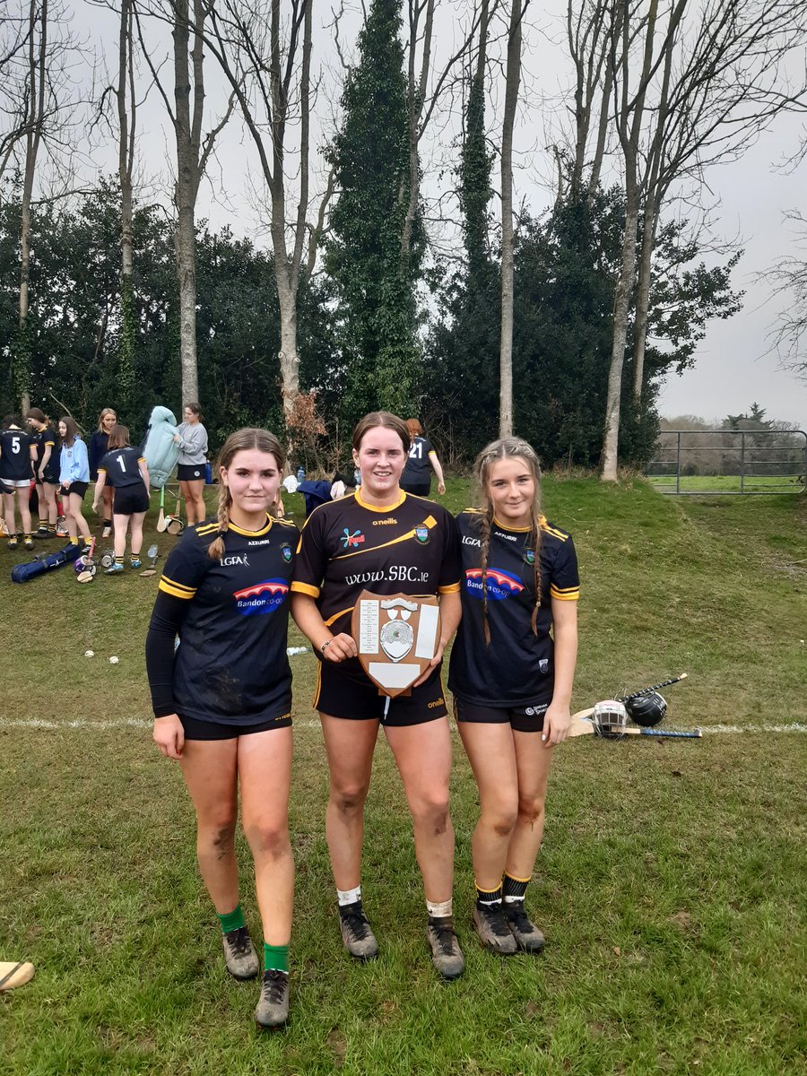 ValleyRovers Camogie tweet media