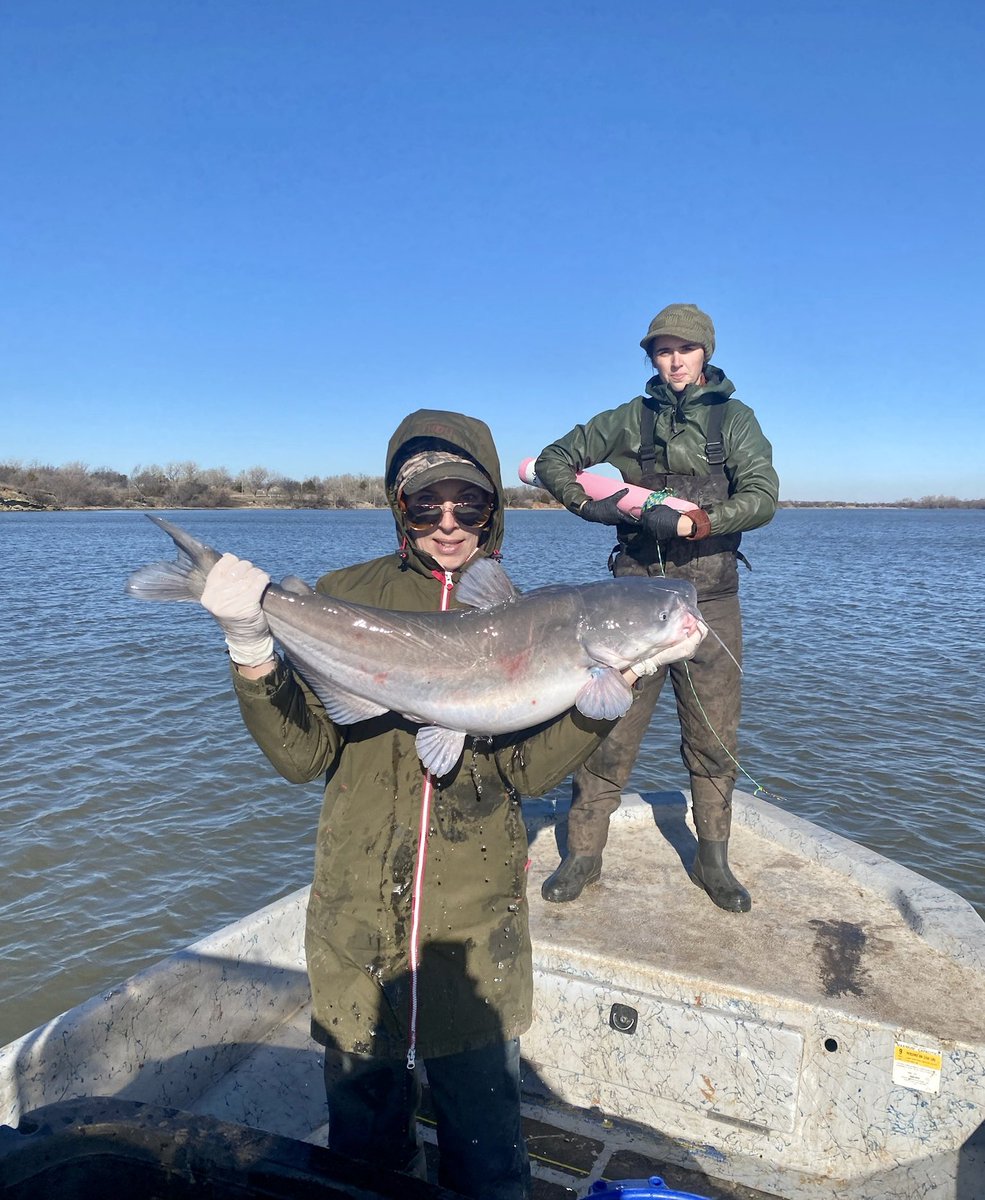 Baby I’m a gangsta too…