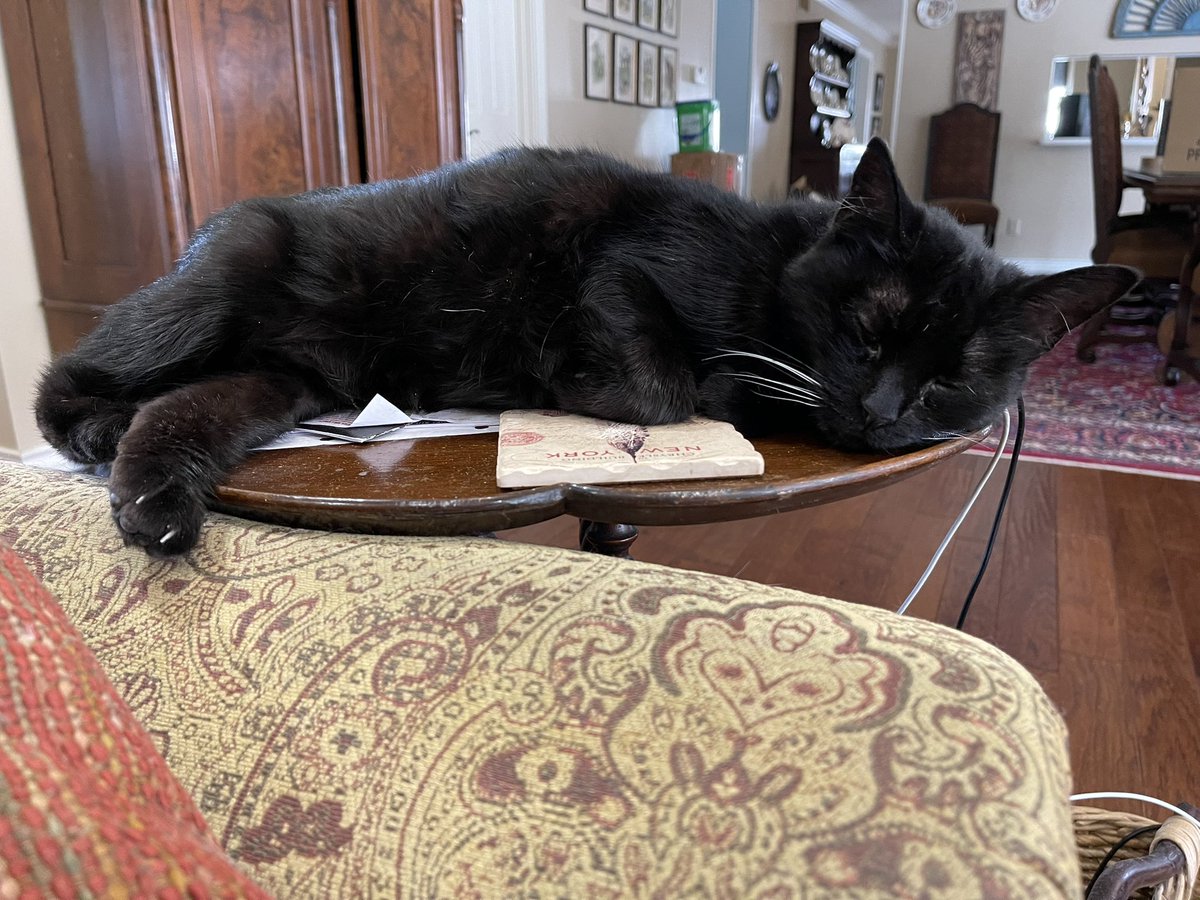 Javier BEERdem tweet media