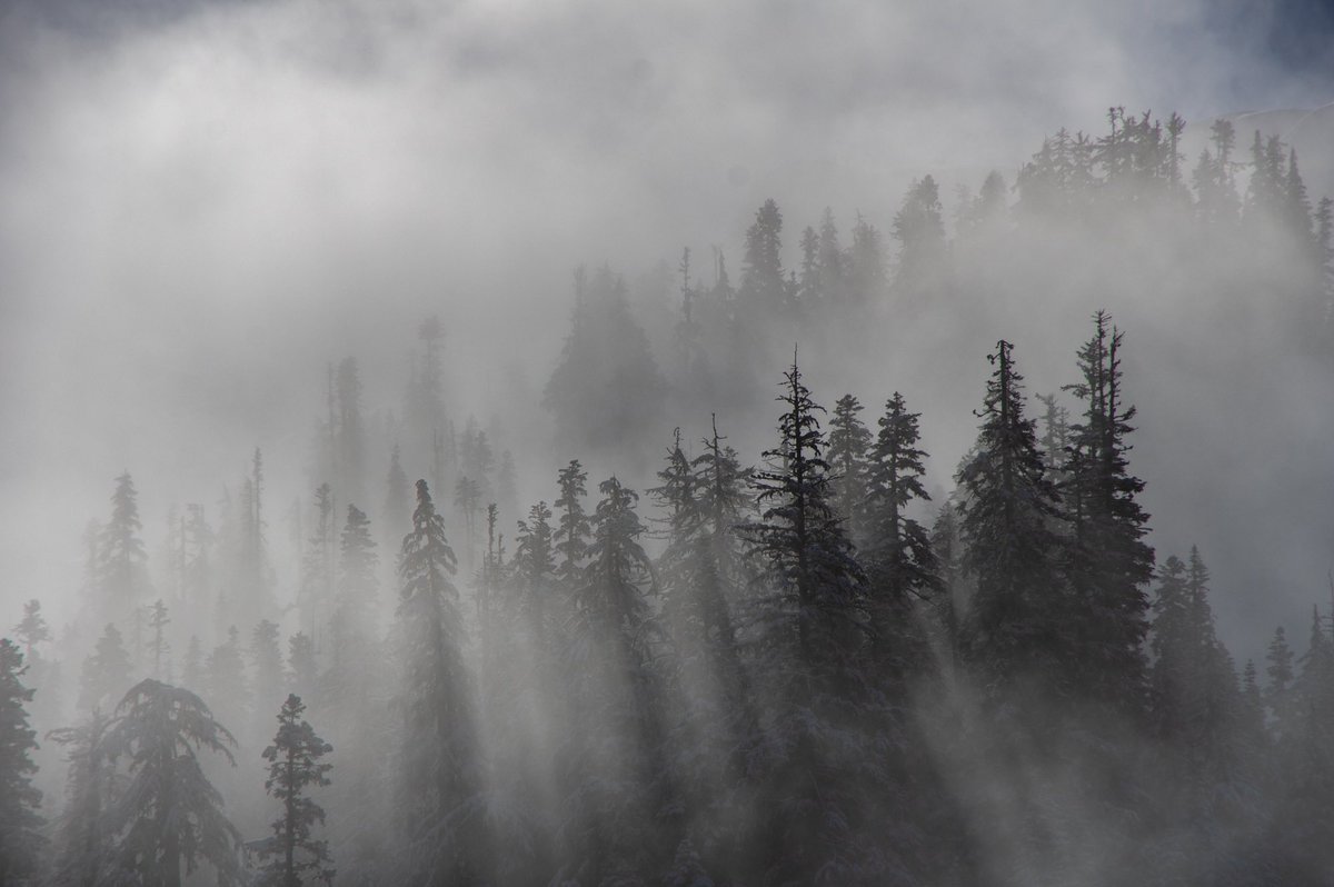 Misty mountains yesterday.  #mtbaker #photography #pnw #mountains
