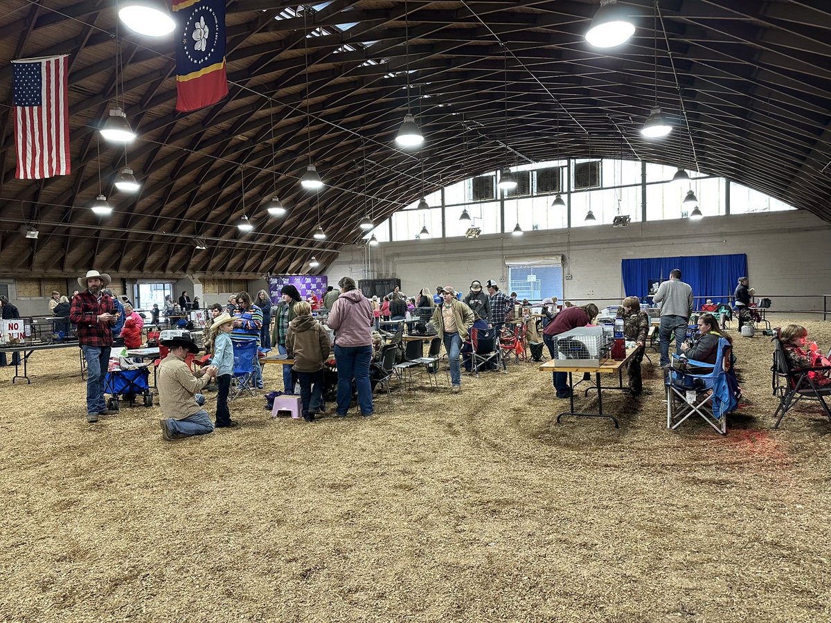 MSDeptofAg's tweet photo. Over 75 rabbits were exhibited today at the first-ever Dixie National Rabbit Extravaganza as part of the annual Junior Round Up Livestock Shows! Come out and support our @Mississippi4H and @MSFFA exhibitors as they compete for the Champion titles of their respective shows. https://t.co/8yKFFehHjO