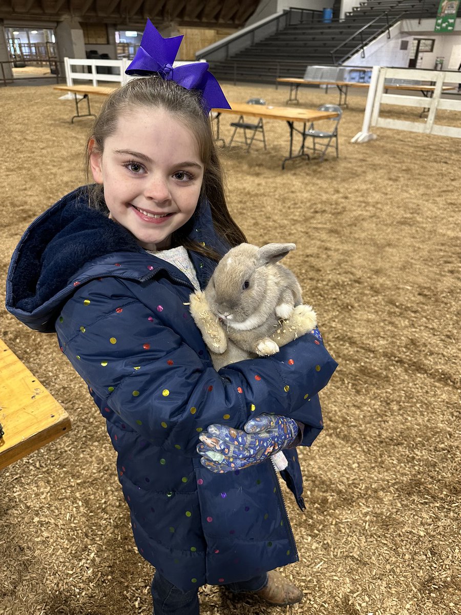 MSDeptofAg's tweet photo. Over 75 rabbits were exhibited today at the first-ever Dixie National Rabbit Extravaganza as part of the annual Junior Round Up Livestock Shows! Come out and support our @Mississippi4H and @MSFFA exhibitors as they compete for the Champion titles of their respective shows. https://t.co/8yKFFehHjO