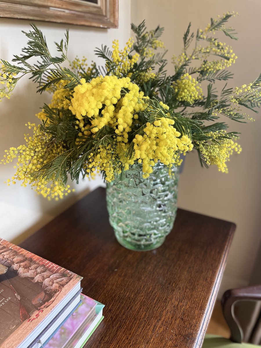 Fresh Mimosa - Spring in Surrey ( via the Sth of France!)