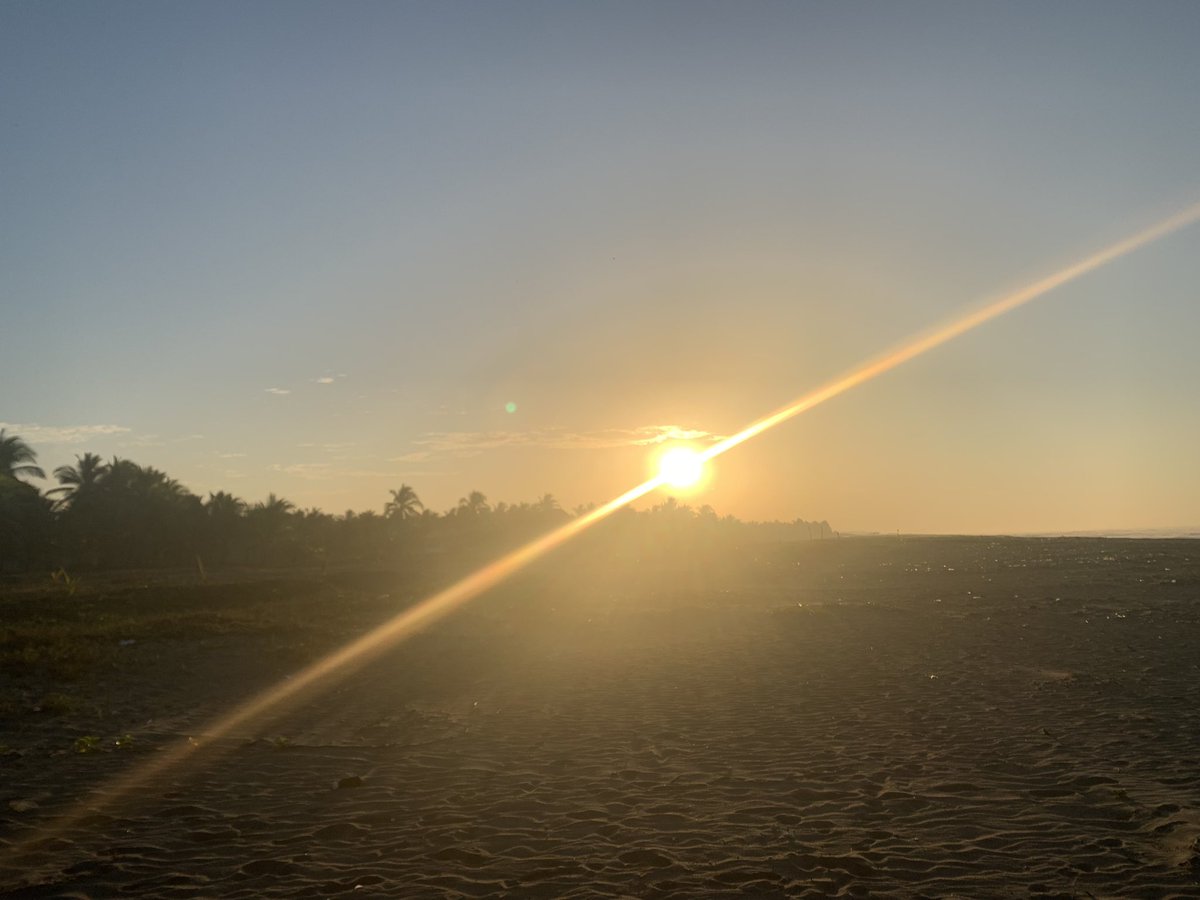 🇩🇴Francis Capra🇩🇴 tweet media