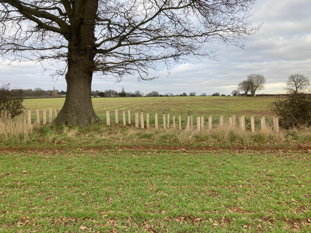 Hr0ss's tweet photo. Filling up the gaps and planting some hedging @WKWT @NFUWarwickshire https://t.co/GWIkY8rBaR