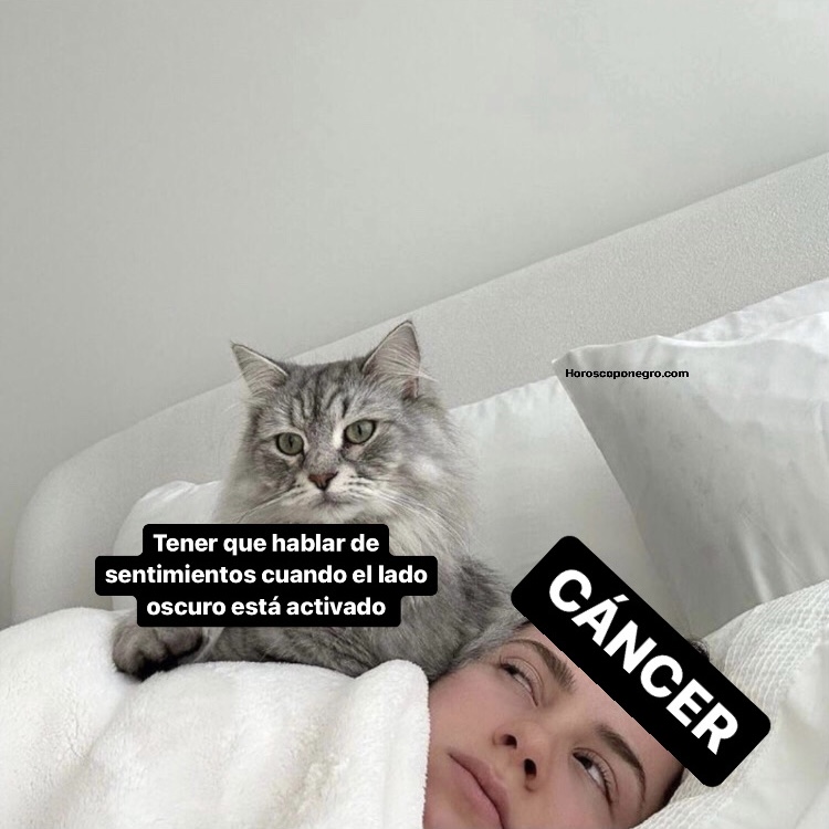 cancer_hn's tweet photo. La misma pesadilla de todas las noches 🤣 #cancer #horoscoponegro https://t.co/8B9ovIQ9GP