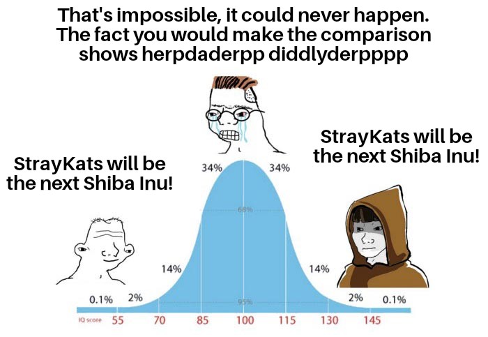 AnointedBags's tweet photo. @RealEdidiong @thestocks7889 @BSCStrayKats @macguyvermedia 🐱 #STRAYKATS $KATS 🐱
           
                 ｡｡ 🌖
             ｡ ･✨
       🚀*
  ✨*

We will not be ignored 🙏🏼 https://t.co/QbfC7AJPaA