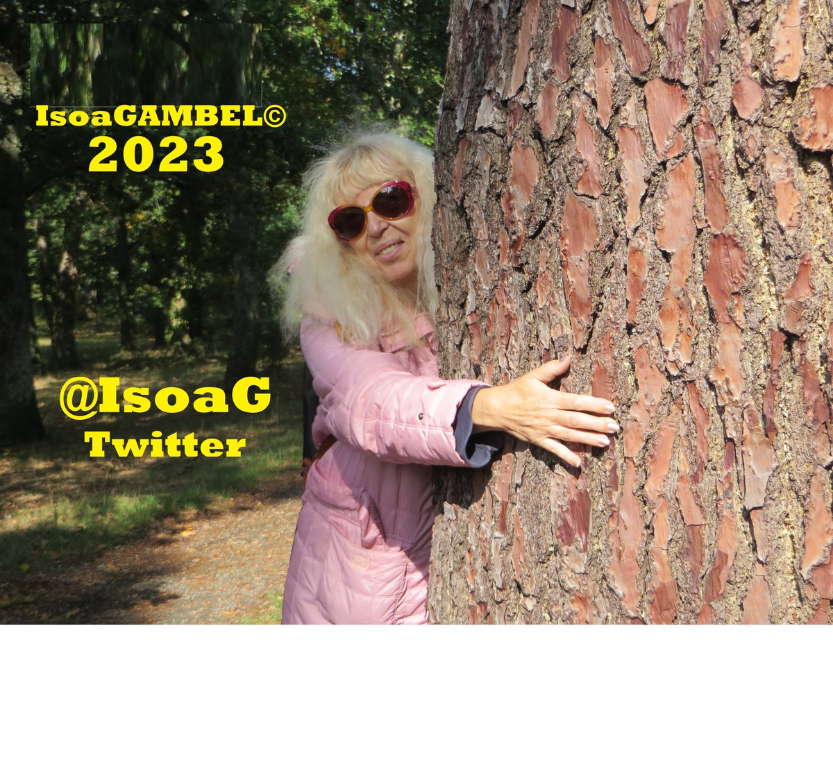 IsoaG's tweet image. #EarthMusic #ZenBluePop #NewMusic2023 #SpaceMusic #cosmicMusic
Thanks for the add. I am artist singing in English, Spanish, French &amp;amp; Japanese ♬ ♫ ♪ 
All my original.  (◠‿◠) Have a nice day.
If you like please see on the youtube Music music.youtube.com/channel/UC-9bo… 🙏🙏🙏