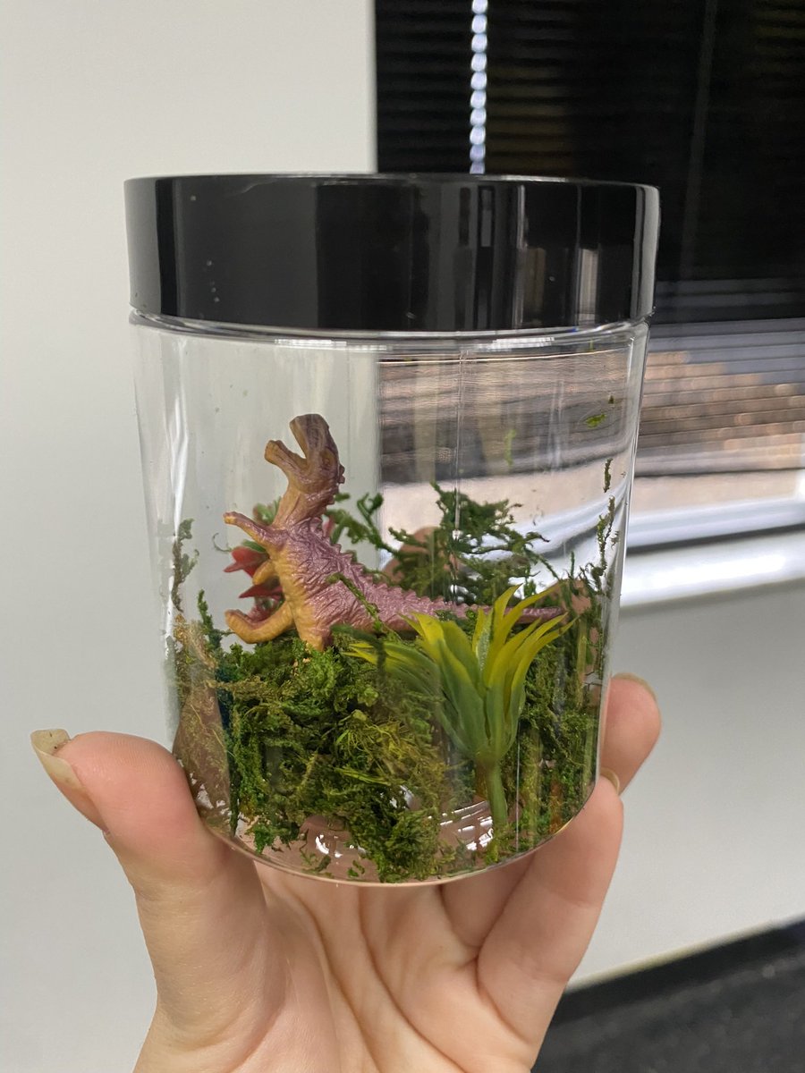 Recently ran a dinosaur day camp and I have to share the terrariums that the kiddos made 😭❤️such a simple, yet fun activity, and now each kid has a new prehistoric pet to take home 🦖