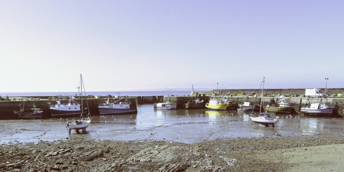 LaurensWillis's tweet photo. I did another digital #trichrome yesterday. Port Seton harbour. https://t.co/f4zJt1arqp