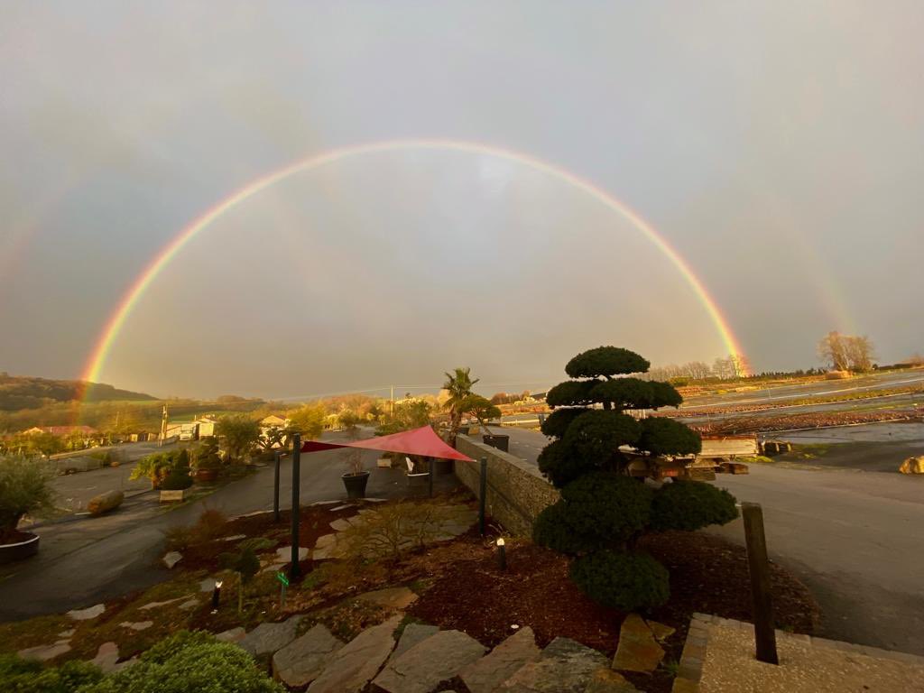 RipaudPepiniere's tweet photo. Toujours après la pluie… le soleil
Toujours après l’hiver… le printemps
Toujours après la nuit… le jour
Et parfois, comme un signe, un arc-en-ciel qui réchauffe les cœurs.
Photo prise cette fin de semaine à la pépinière. Bon week-end !
#rainbow #cheffois #vendée #végétal https://t.co/U3ZX2olZOm