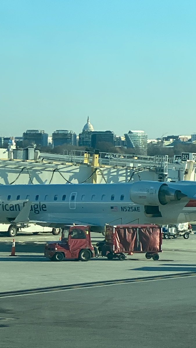 Leonie DeClerk tweet media