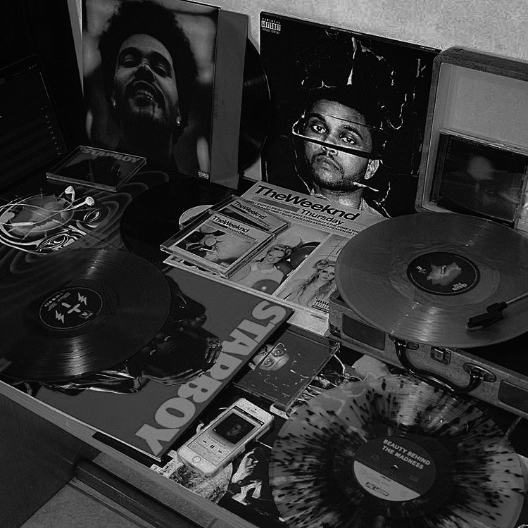 dicgnity's tweet image. ㅤ

introducing, 

illusory — leviandra. twenty-eight years old. a businessman by day, a music entusiast by night.

ㅤ