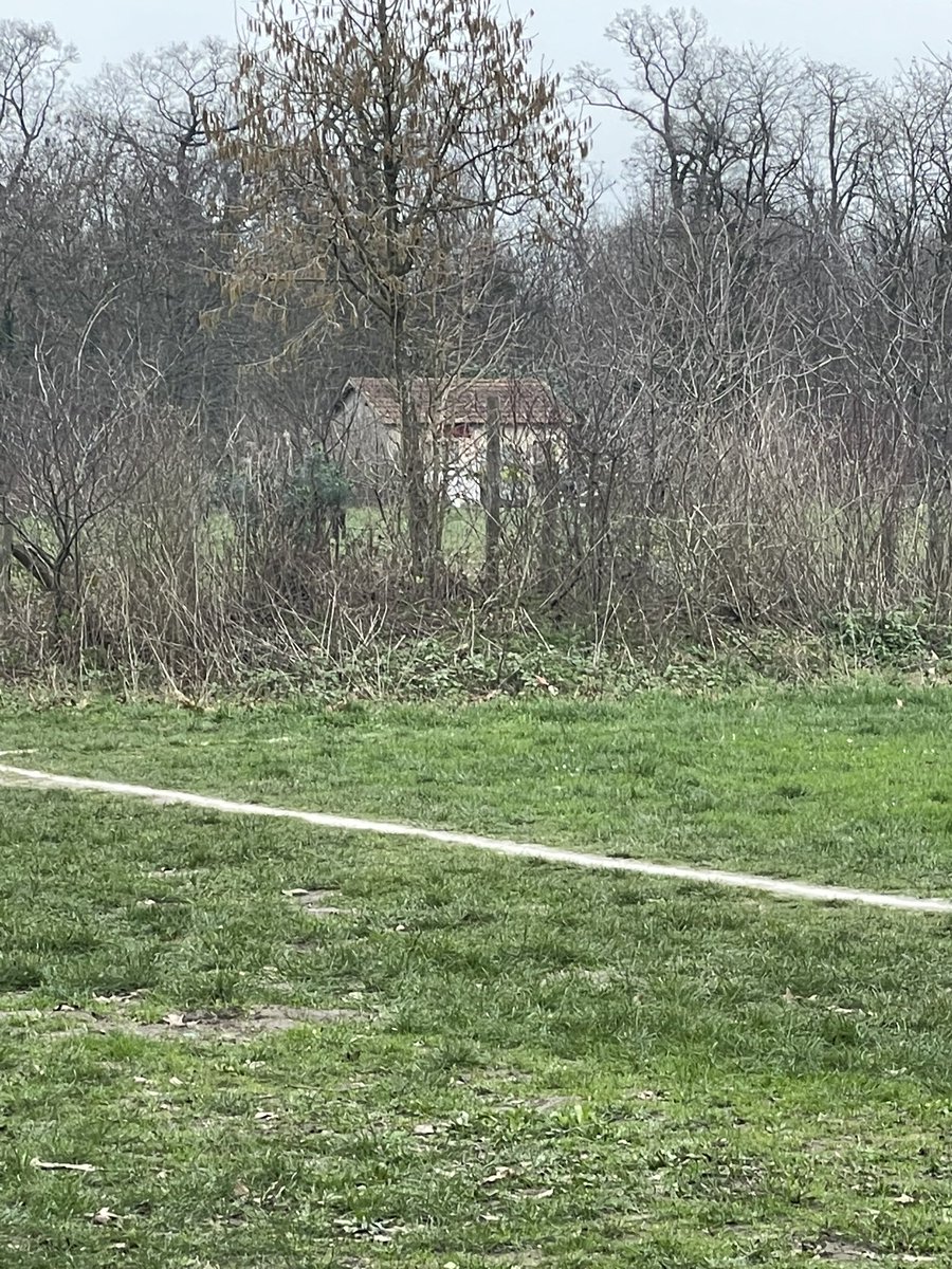 TobiasWhell's tweet photo. Les gars jsuis allé au truc de Ziak et je gros ça va tourner une petite vidéo, y’a une équipe de réalisateur etc, en espérant pas me prendre de coup de shlass https://t.co/sivv7HfS6l