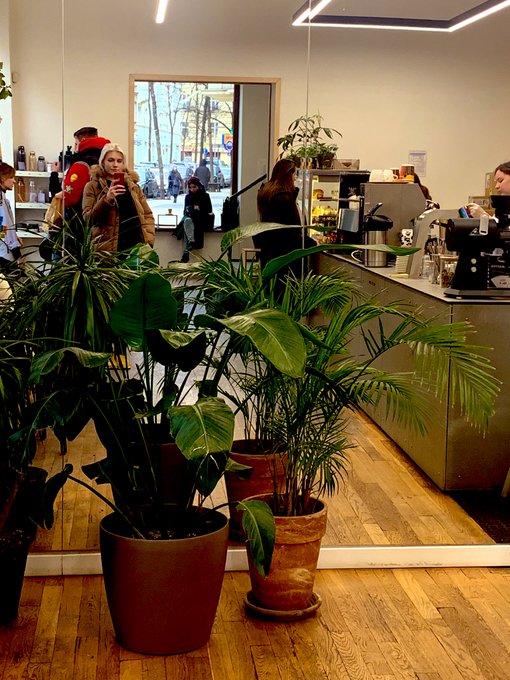 Plants can put you in a good mood. Or sex, sex is also nice. Just don't mix those two together.. Unless<a href="/tag/lovemyjob"class="tags"><span>#lovemyjob</span></a><a href="/tag/masochism"class="tags"><span>#masochism</span></a><a href="/tag/bdsm%D9%90"class="tags"><span>#bdsmِ</span></a>
