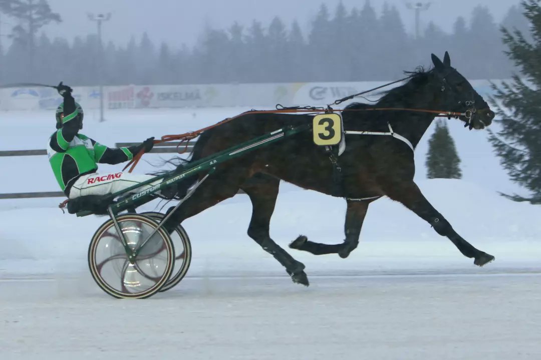 Didi Dam! Kolmas 75-kohde, ja kolmas yllättäjä. Markus Dahlström ohjasti Donato Hanoverin tyttären tyylikkääseen voittoon. Ifa Racing Joensuusta omistaa, ja Dahlström myös valmentaa. #ravit #lappeenravit #lappeenravirata