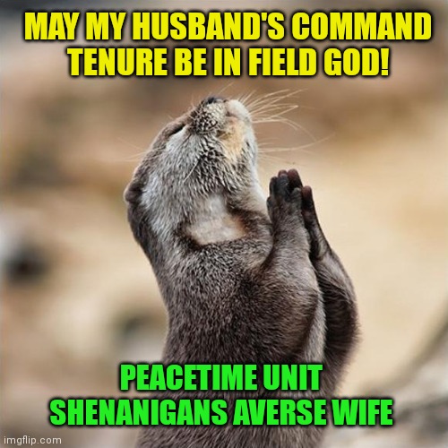 memegaonkar's tweet photo. One Retd Col Saab in the Twitter neighbourhood once mentioned that the happiest that he saw his wife was when he picked up his rank and the unit moved to field. #faujiwives #ARMYwives #militarywives #airforcewives #navywives #milspouse #militarymemes #militaryhumour https://t.co/BCHnmFm65e