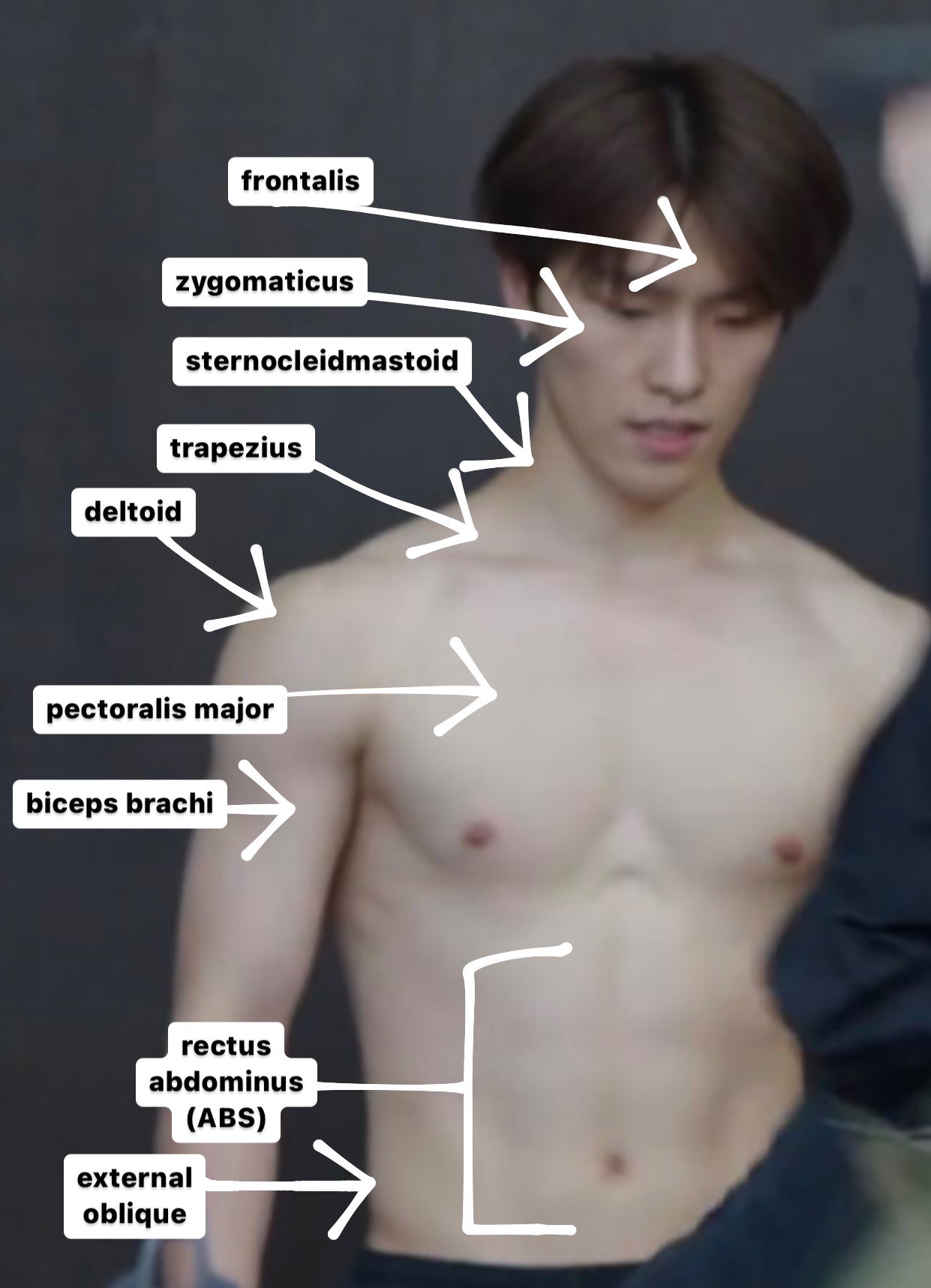 a. BSS 🔈 on Twitter to svt anatomy class. for today’s