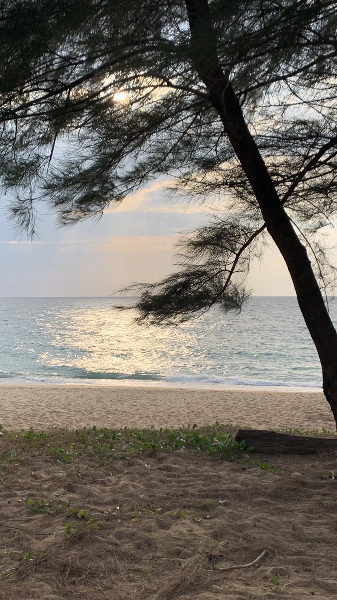 OUAUDAYOFF's tweet photo. ภูเก็ตรอบนี้เลือกพักที่ Melia ด้วยราคาตอนนี้คือที่พักภูเก็ต เขาหลักขึ้นราคาหมด ตอนจอง type ที่เป็น outdoor Bathtub ได้อัพเกรดเป็นวิลล่า ชอบที่โรงแรมจัดสัดส่วนแต่ละอย่างไว้ดีมากๆ และเดินไปที่หน้าหาดได้ สระว่ายน้ำมี 2 สระ มีเดย์เบ้ดนั่งชิลได้ข้างๆสระ เมนูอาหารของโรงแรมก็อร่อยเลย https://t.co/FtmwEfp2pO
