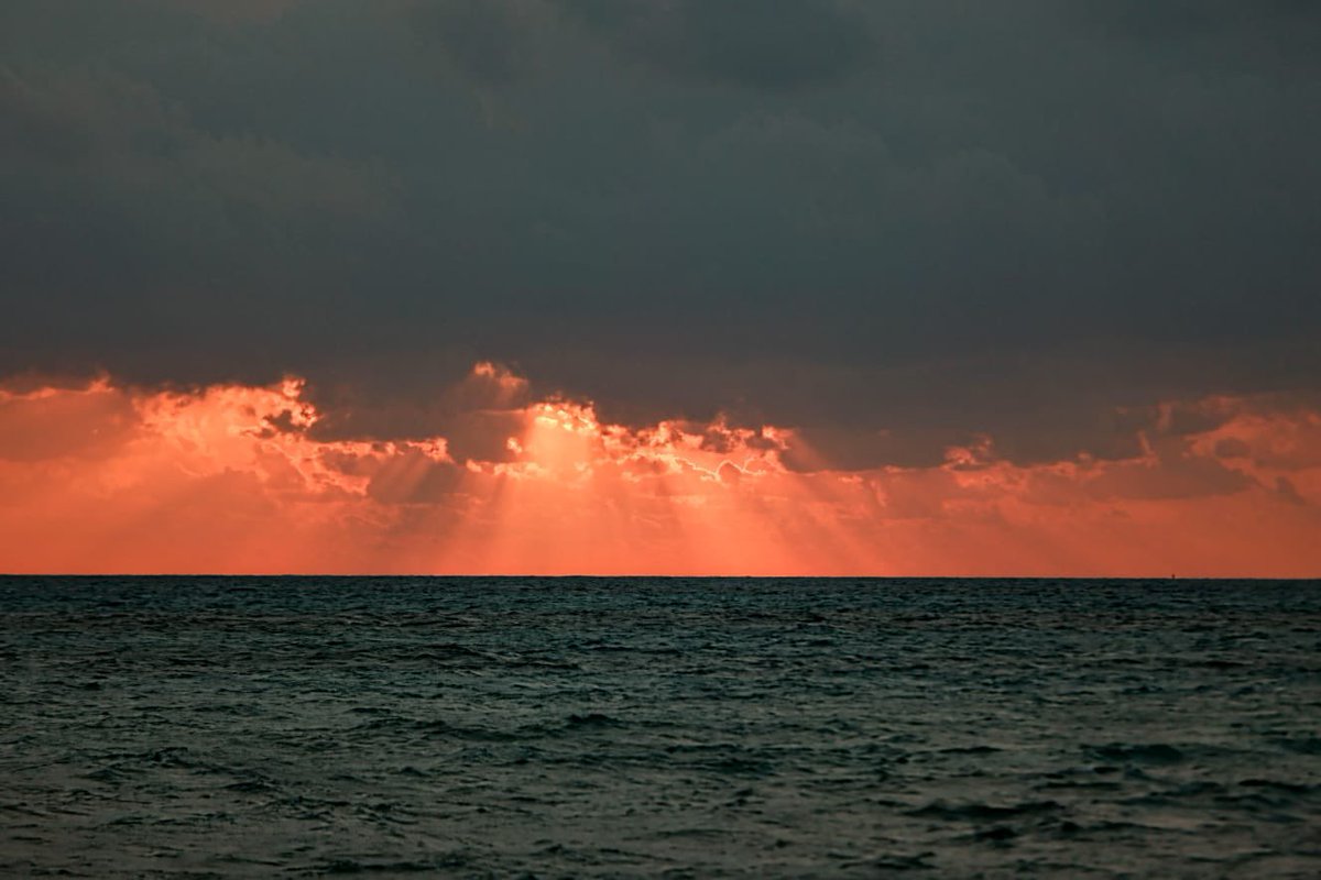 soyateneadeisla's tweet photo. ¡Isla Mujeres 😍 después de la lluvia.. Buenos días!
#TrabajandoConElCorazón #CuidarALaGente #AteneaIslaMujeres #IslaMujeres #PuebloMágico https://t.co/0YQBqpjpvw