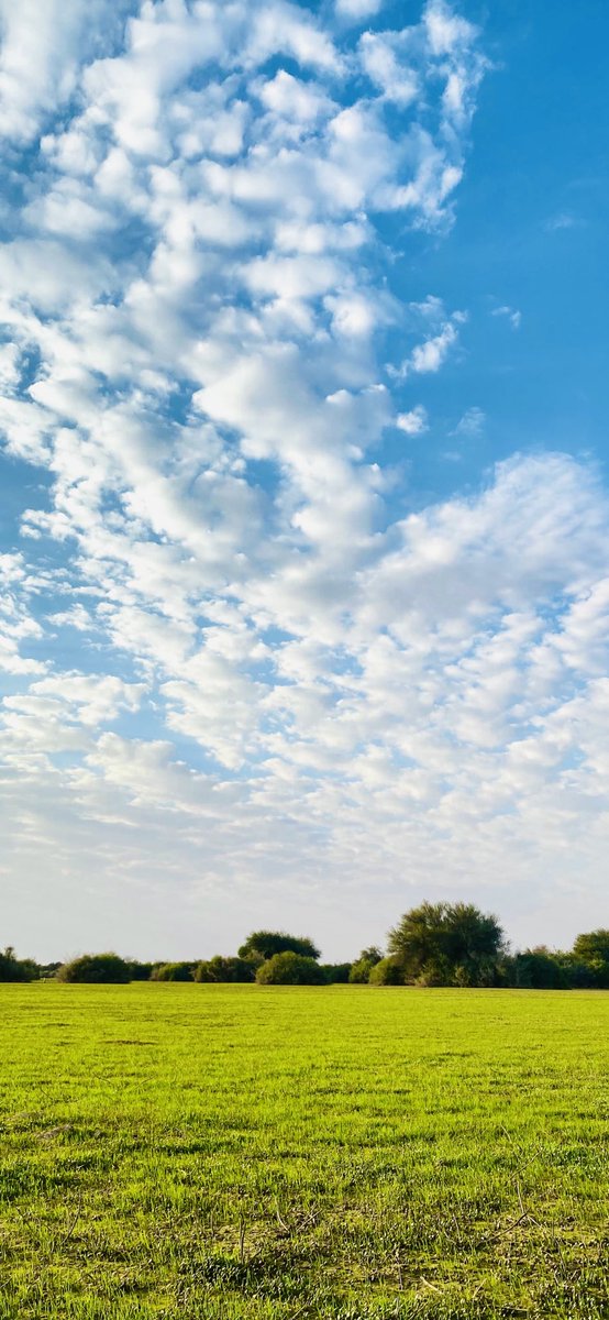 i2AS9's tweet photo. __•

قْهوة وربيع 🌲☕️

زحام من النِعم الحمدُلله 🤩🤍 https://t.co/ztP2cVf3B1