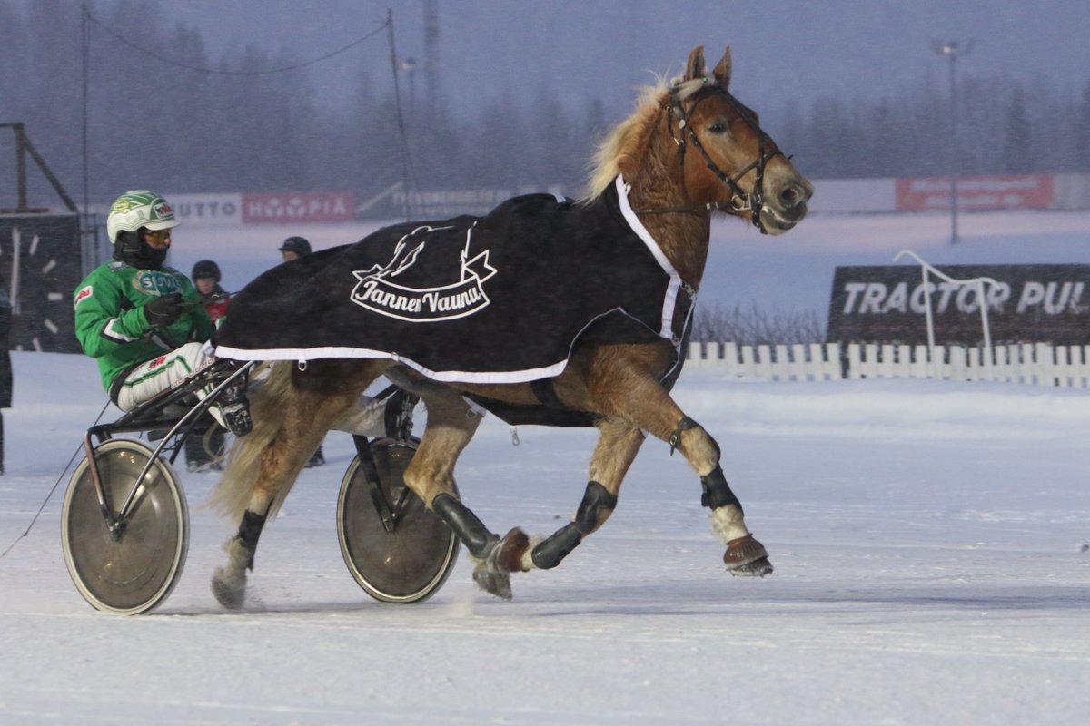 Jannen Vaunu Haastaja vs. Pronssidivisioonakarsinnassa suosikin viittaa kantanut Maisteri Jutila sai selkäänsä voittoloimen. Ari Moilanen ojasti Sanna-Kaisa Liukkosen omistamaa ja valmentamaa ruunaa. #ravit #lappeenravit #lappeenravirata