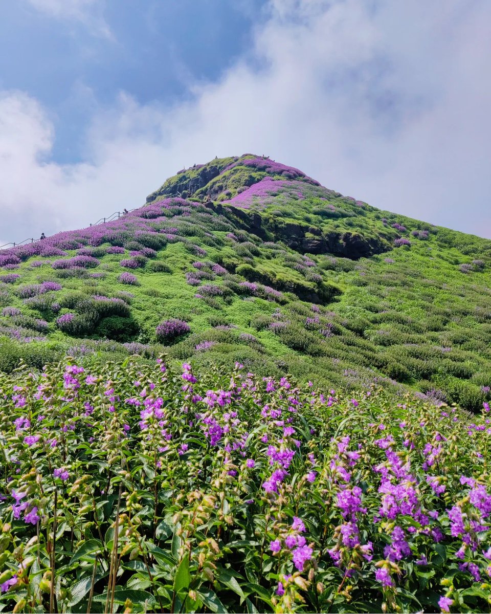 iittzzsam's tweet photo. Incredible Maharashtra! 😍
#YourLensMH
#ShotonOnePlus #OnePlusIndia
#OnePlus #NatgeoIndia
#MaharashtraUnlimited
@oneplus @OnePlus_IN @OnePlus_USA @PeteLau
@maha_tourism @NatGeoIndia https://t.co/qlSeZxHxfb