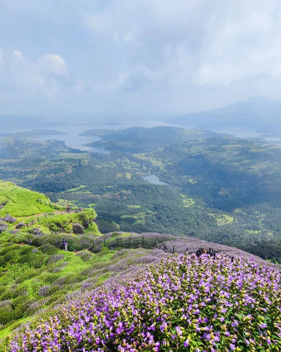iittzzsam's tweet photo. Incredible Maharashtra! 😍
#YourLensMH
#ShotonOnePlus #OnePlusIndia
#OnePlus #NatgeoIndia
#MaharashtraUnlimited
@oneplus @OnePlus_IN @OnePlus_USA @PeteLau
@maha_tourism @NatGeoIndia https://t.co/qlSeZxHxfb
