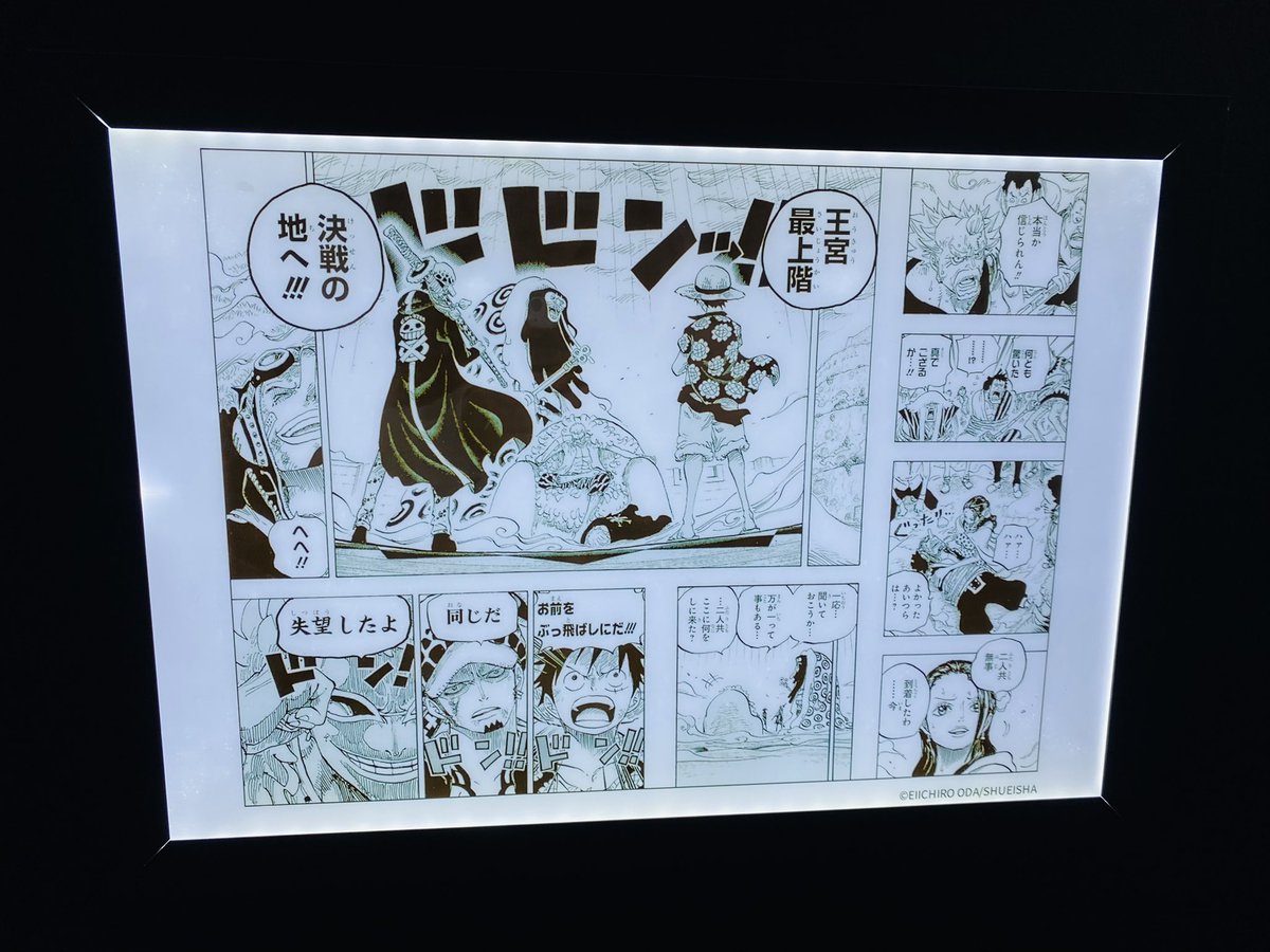 天井、そして特にこの回廊も素敵すぎでずっと撮ってる...まだ来る機会があればいいな... 