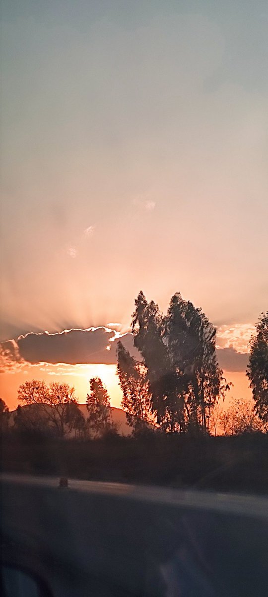 digitalmolica's tweet photo. Me 🫂 Sunsets https://t.co/sIku08TMgp
